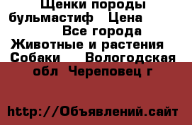 Щенки породы бульмастиф › Цена ­ 25 000 - Все города Животные и растения » Собаки   . Вологодская обл.,Череповец г.